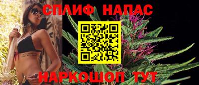 гидра Краснознаменск