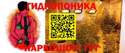 гидра Краснознаменск