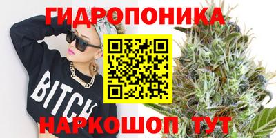 прущие грибы Краснокаменск