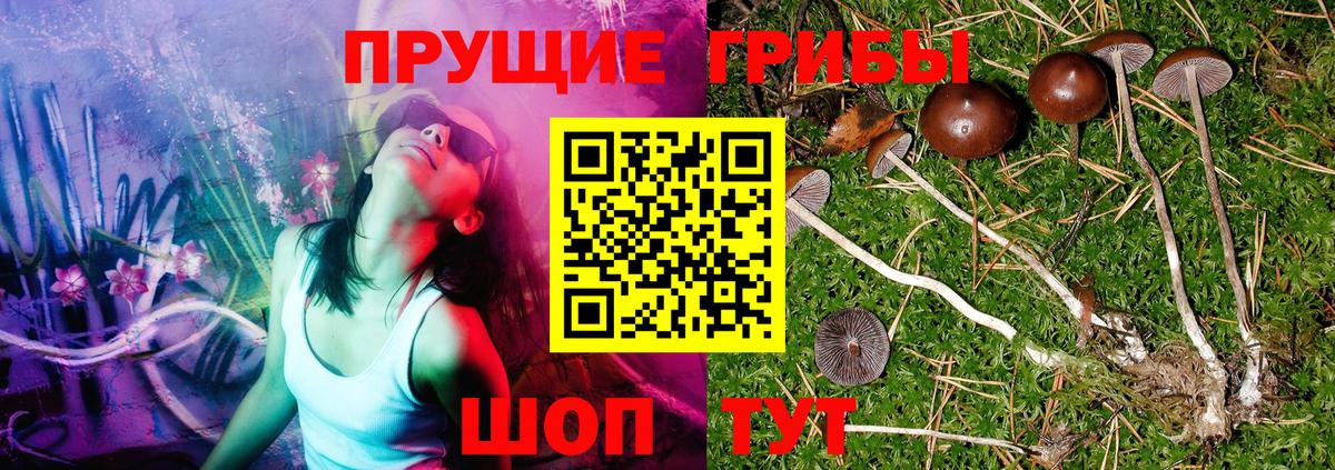 Галлюциногенные грибы GOLDEN TEACHER  Вход с VPN  Зима 